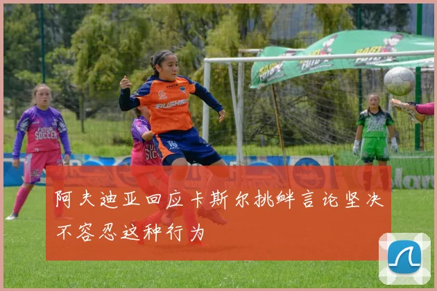 阿夫迪亚回应卡斯尔挑衅言论坚决不容忍这种行为