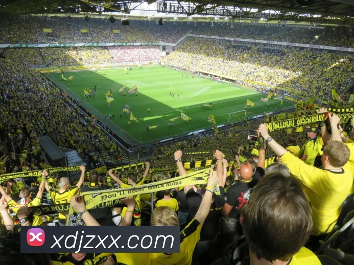 9游会j9国际站官网APP 封面图